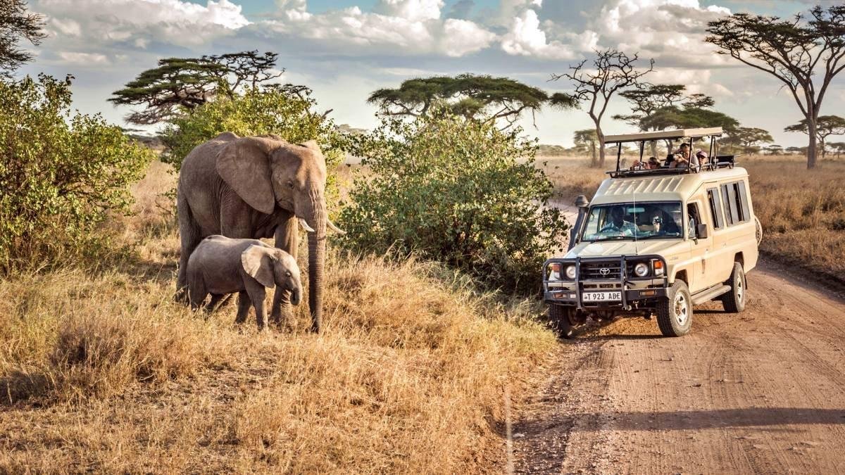 Viajes organizados a Tanzania